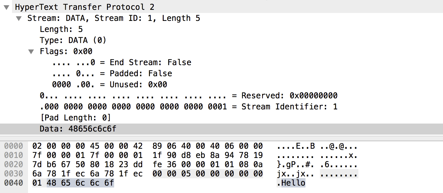 Figure 12-9. DATA frame