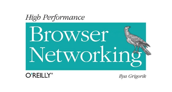 High Performance Browser Networking (O’Reilly)